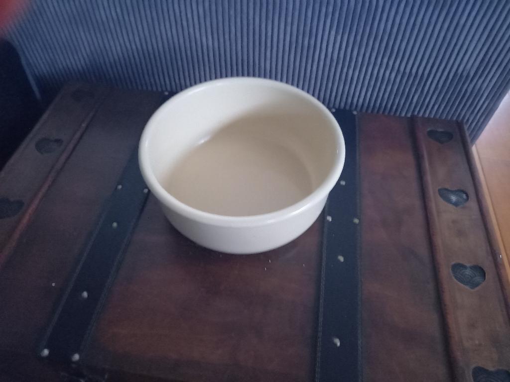 plantenschaal, Gebruikt, Rond, Binnen, Ophalen of Verzenden