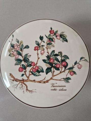 Bonbondoos dekseldoos Villeroy & Boch Botanica in nieuwstaat beschikbaar voor biedingen
