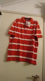 nog Nieuw kaart polo shirt  PAOLO FERETTI rood wit Streep XL, Paolo Feretti, Ophalen of Verzenden, Rood, Maat 56/58 (XL)