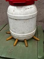 Speenemmer schapen, Meerdere dieren, Schaap