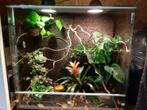Duurzaam Glazen Kameleon Terrarium, met lichtpunten, op maat, Nieuw, Terrarium of Paludarium, Ophalen
