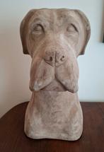 Diverse beelden van dieren zwaan hond, Ophalen, Zo goed als nieuw, Dier