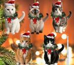 Set 5 kerstboomhangers katten kerstmuts kerstkrans kerstbal, Diversen, Kerst, Ophalen of Verzenden, Nieuw