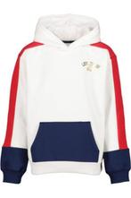Levi's hoodie, Ophalen of Verzenden, Zo goed als nieuw, Trui of Vest