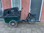 Vogue Carry 3 bakfiets elektrisch, Overige merken, 4 kinderen of meer, Gebruikt, Elektrisch