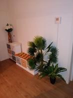 Shoe rack, Ophalen, Minder dan 50 cm, Gebruikt, Minder dan 50 cm