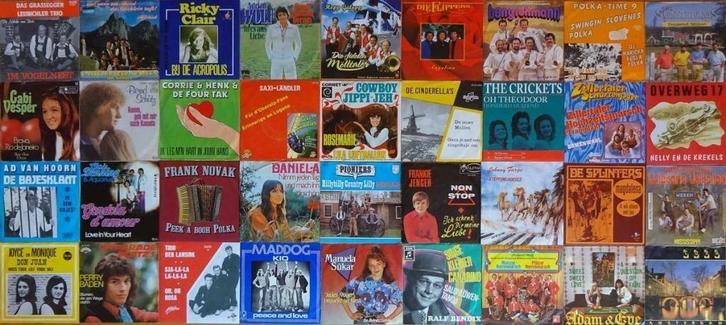 GEZOCHT SINGELS  PIRATEN PARTIJEN, Cd's en Dvd's, Vinyl Singles, Zo goed als nieuw, Nederlandstalig, Ophalen