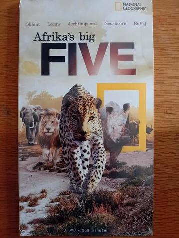 The Big Five dvd National Geographic 3 dvd's  nieuw in folie beschikbaar voor biedingen