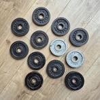 Halterschijven van 1,25 kilo, Ophalen of Verzenden, Gebruikt, Benen, Halterschijven
