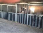 Paardenstallen, Dieren en Toebehoren, Stalling, 4 paarden of pony's of meer