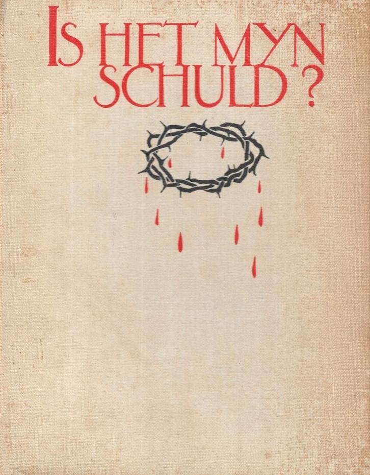 P.J. Risseeuw - Is het mijn schuld?, Boeken, Streekboeken en Streekromans, Zo goed als nieuw, Noord-Brabant, Ophalen of Verzenden