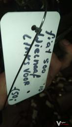 Wielnaaf fiat 2010, Gebruikt, -, -, Ophalen of Verzenden