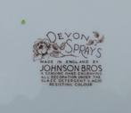 Johnson Brothers Devon Sprays Brown Multicolor Gebak stel, Huis en Inrichting, Bord(en), Overige stijlen, Ophalen of Verzenden