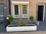 Plantenbakken, Ophalen of Verzenden, Nieuw, Vierkant, Tuin