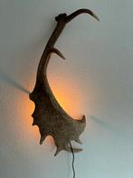 Geweien geweienlamp jacht Veluwe geweien edelhert wandlamp., Ophalen of Verzenden, Nieuw