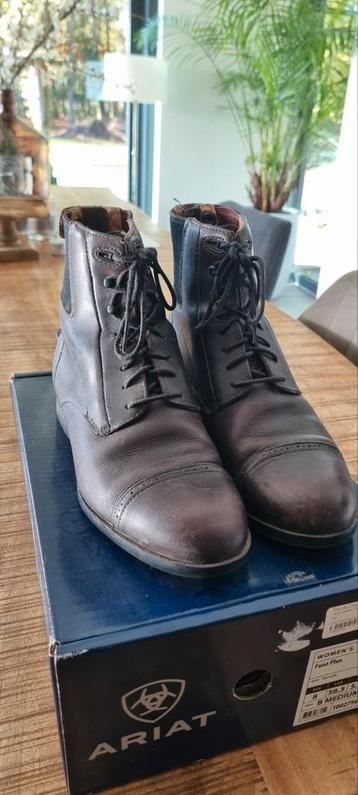Ariat Paddock Zip&lace Jodhpurs Maat 39 - Zo goed als nieuw beschikbaar voor biedingen