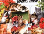 Garden Cats - VCC Puzzel - 1000 st, Ophalen of Verzenden, 500 t/m 1500 stukjes, Zo goed als nieuw, Legpuzzel