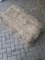 Hooi, Dieren en Toebehoren, Ophalen, Vee