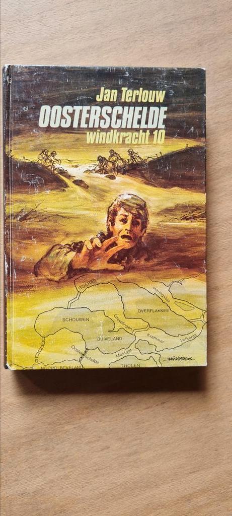 Oosterschelde - windkracht 10, Boeken, Kinderboeken | Jeugd | 10 tot 12 jaar, Zo goed als nieuw, Non-fictie, Ophalen of Verzenden