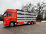 DAF XF 105 Berdex 1/2/3/4 livestock veewagen type2, Auto's, Vrachtwagens, Lichtmetalen velgen, Euro 5, 510 pk, DAF