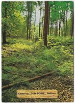 Rekken Camping Den Borg gelopen Ansichtkaart ( B2616 ), Ophalen of Verzenden, 1960 tot 1980, Gelopen