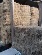 Sto baaltjes te koop, Ophalen of Verzenden