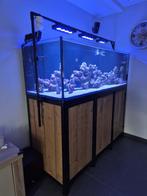 Maatwerk startklaar zeeaquarium met bijbehorende techniek, Dieren en Toebehoren, Vissen | Aquaria en Toebehoren, Ophalen, Gebruikt