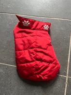 Hondenjasje ( 26 cm), Ophalen, Zo goed als nieuw, Hondenbodywarmer