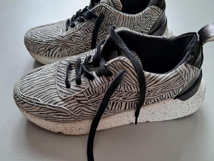 Sneakers gympen zebraprint Sacha maat 40, Kleding | Dames, Schoenen, Zo goed als nieuw, Sneakers of Gympen, Zwart, Ophalen of Verzenden