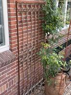 Oud ijzeren hekwerk, Tuin en Terras, Tuinhekken en Hekwerk, Ophalen of Verzenden, Gebruikt, IJzer