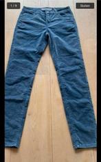 Geisha ribbroek fluweel 40 nieuw, Maat 38/40 (M), Geisha, Blauw, Nieuw