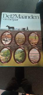 De 12 Maanden van het Jaar - Prachtig geïllustreerd boek, Ophalen of Verzenden, Nieuw, Jan Nijkamp, Ruud Rook, Henk Slijper en Ko Zwiers