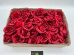Partij rode kunst rozenknoppen - 140st - nieuw - €25, Ophalen of Verzenden, Nieuw