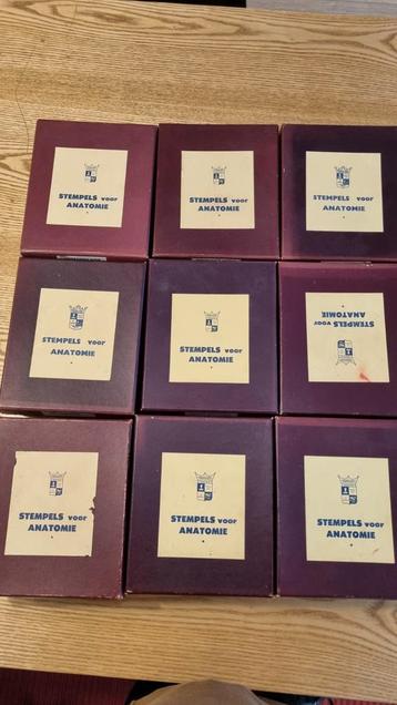 Antieke Anatomie Stempels - Vintage Collectie beschikbaar voor biedingen
