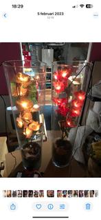 Grote orchideeën lampen, Ophalen, Zo goed als nieuw, Minder dan 50 cm