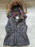 Esprit bodywarmer bruin maat M 38 (bontkraag kan eraf), Kleding | Dames, Bodywarmers, Maat 38/40 (M), Bruin, Ophalen of Verzenden