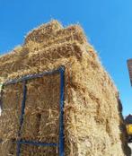 Stro kleine balen, Dieren en Toebehoren