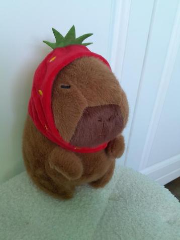 Capibara's knuffels en sleutelhangers beschikbaar voor biedingen