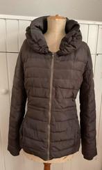 Jack bruin glans L LIV COLLECTION, Kleding | Dames, Jassen | Winter, Ophalen of Verzenden, Zo goed als nieuw, Maat 42/44 (L), Bruin