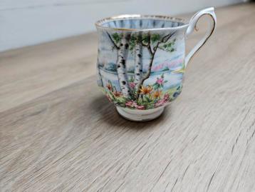 Royal Albert Silvio Birch Bone China kop beschikbaar voor biedingen