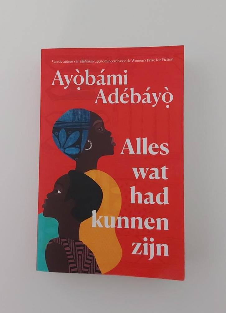 Alles wat had kunnen zijn - Ayobami Adebayo, Boeken, Literatuur, Gelezen, Ophalen of Verzenden