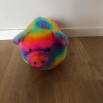 Knuffel Varken Regenboog beschikbaar voor biedingen