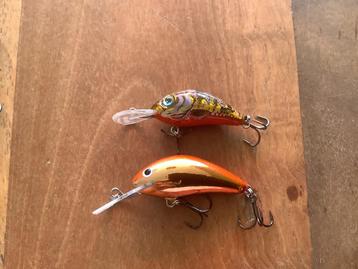 2 x hornet.   3,5 en 4 cm. beschikbaar voor biedingen