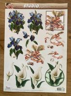 Knipvel Studio Light - bloemen, Hobby en Vrije tijd, Kaarten | Zelf maken, Ophalen of Verzenden, Nieuw, Natuur, Knipvel