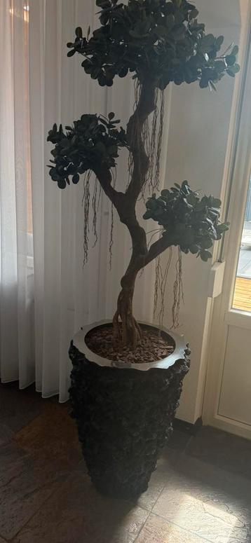 Kunstplant in Lava Stenen Pot beschikbaar voor biedingen