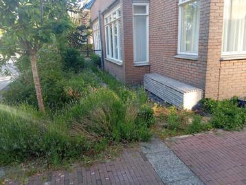 Tuinonderhoud trimmen grasmaaien heggen snoeien  beschikbaar voor biedingen