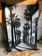 Glazen schilderij met palmbomen, Ophalen, 50 tot 75 cm, Nieuw, Schilderij