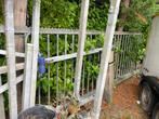 Schuifpoort 4 meter 150 hoog, Tuin en Terras, Tuinhekken en Hekwerk, Ophalen, Gebruikt, IJzer, Spijlenhekwerk
