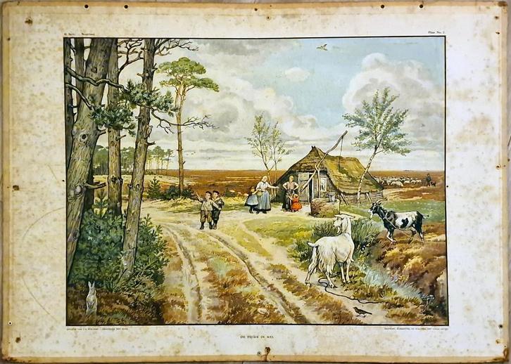 Graanmolen, opengewerkte tekening, Antiek en Kunst, Antiek | Schoolplaten, Geschiedenis, Ophalen