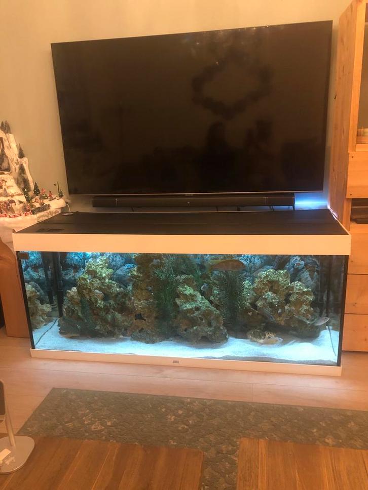 Juwel rio led 450 inclusief 2 keer jbl 1502 e, Dieren en Toebehoren, Vissen | Aquaria en Toebehoren, Zo goed als nieuw, Gevuld zoetwateraquarium